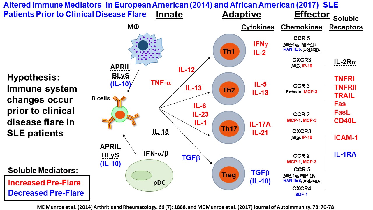 Mechanisms of Disease Flare